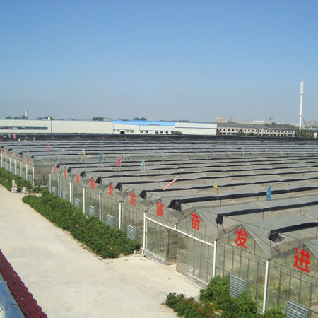 山東岱宗機(jī)械工程有限公司